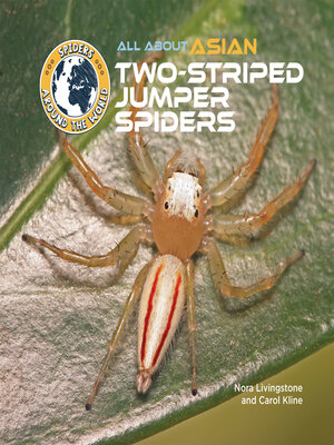 cover image of All About Asian Two-Striped Jumper Spiders